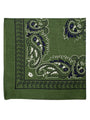 Extra Large Traditional Handkerchiefs with Paisley Print-Paisley Green with Navy