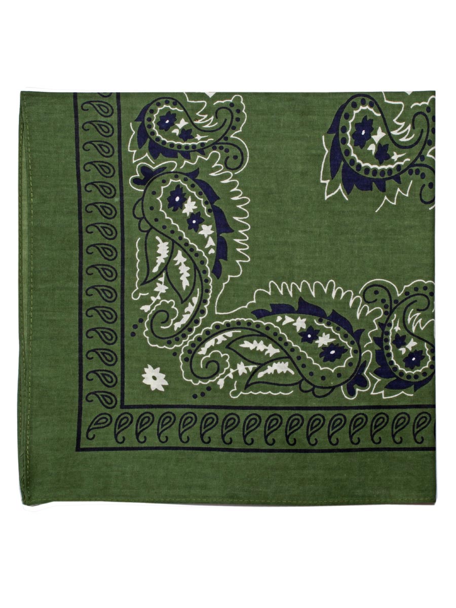 Extra Large Traditional Handkerchiefs with Paisley Print-Paisley Green with Navy
