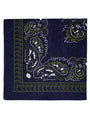 Extra Large Traditional Handkerchiefs with Paisley Print-Paisley Navy with Green