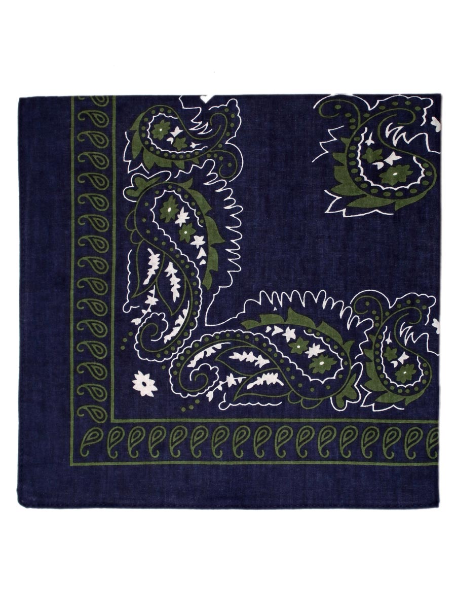 Extra Large Traditional Handkerchiefs with Paisley Print-Paisley Navy with Green