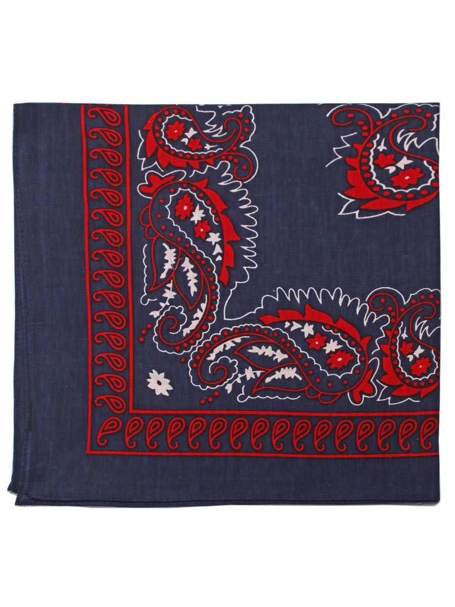 Extra Large Traditional Handkerchiefs with Paisley Print-Paisley Navy with Red