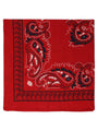 Extra Large Traditional Handkerchiefs with Paisley Print-Paisley Red with Navy