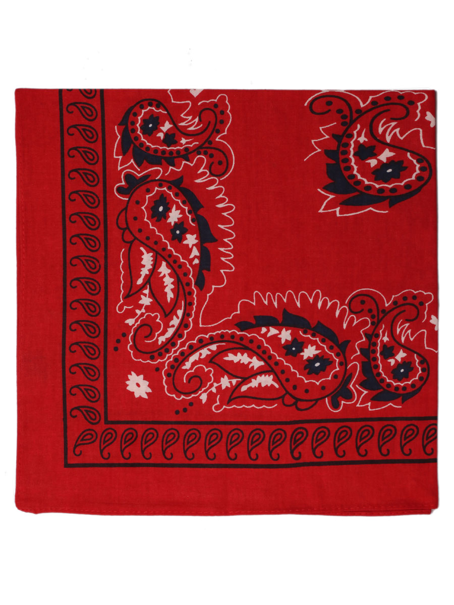 Extra Large Traditional Handkerchiefs with Paisley Print-Paisley Red with Navy
