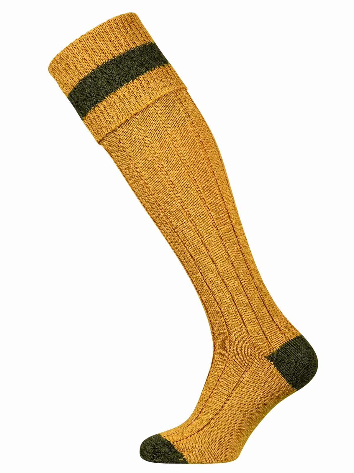 Gold shooting sock with oliver green detail