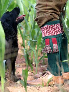 The Whitley Shooting Sock with Garter, Forest