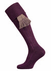 Allensmore Cotton Shooting Sock with Cushioned Sole in Dark Purple with optional Bison Garter