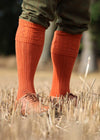 Burnt orange cotton knee high sock with turnover and cable pattern.