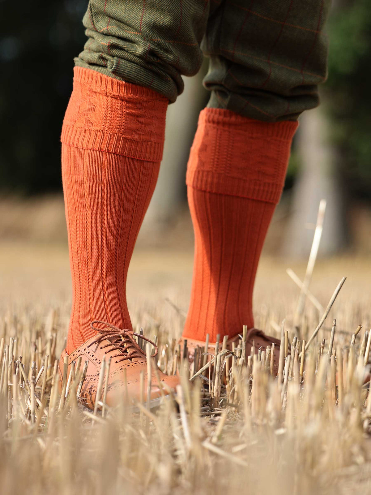 Burnt orange cotton knee high sock with turnover and cable pattern.